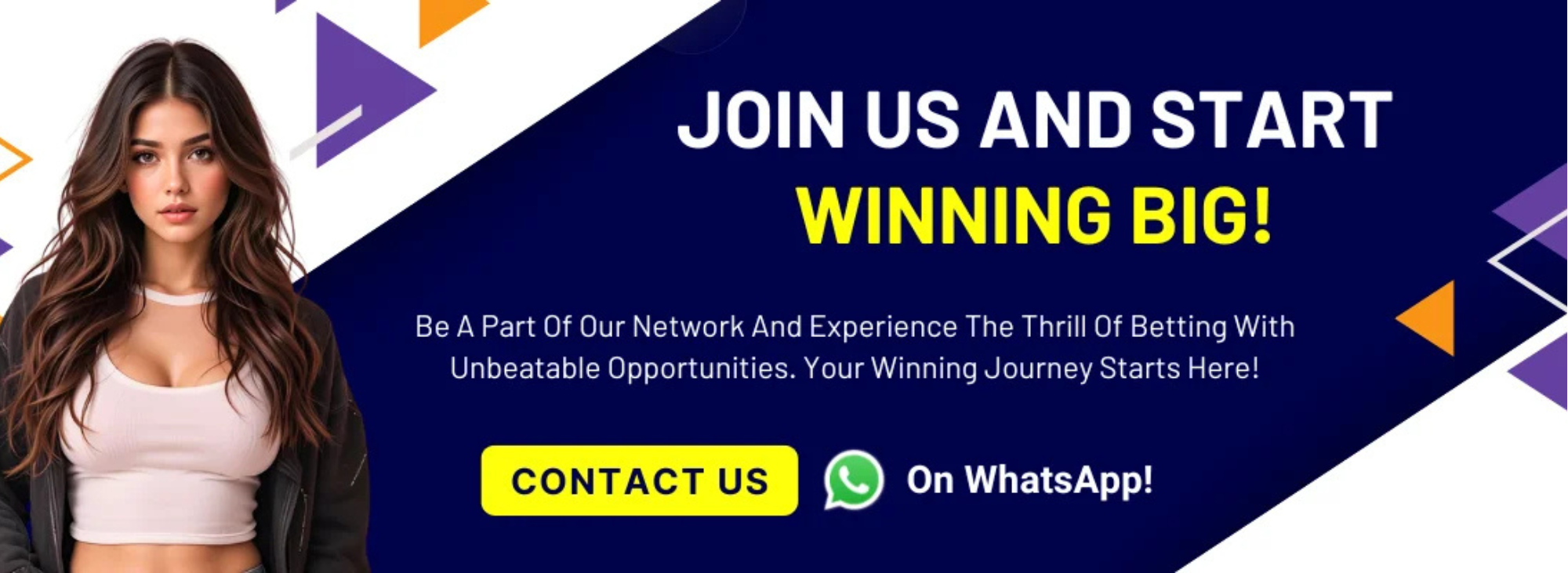 Promotional Banner 2